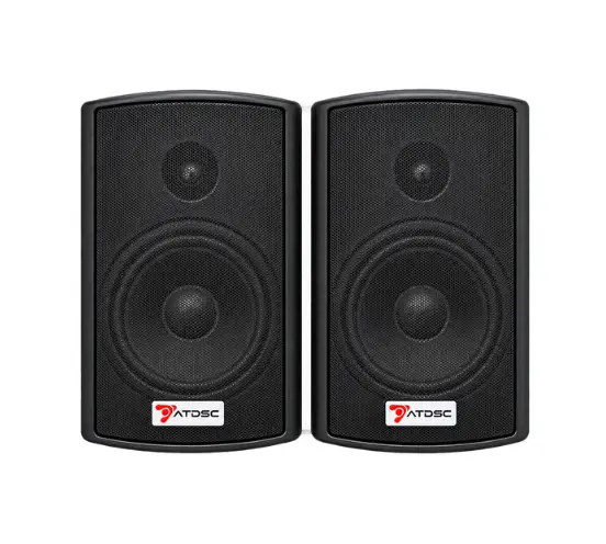 Active Speaker